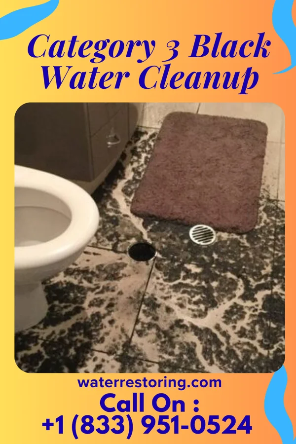 Category 3 Black Water Cleanup in Crooksville, OH