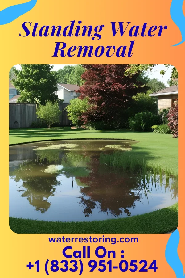 Standing Water Removal in Crooksville, OH